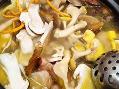 -菌之家·专业纯野生菌火锅·特色炒菌