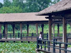 -白鹭湾湿地公园