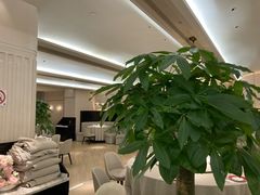 -圆苑(静安寺店)