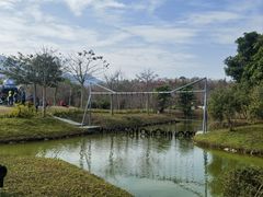 -森波拉奇妙世界