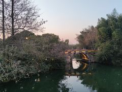 -乌镇景区