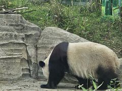 -武汉动物园
