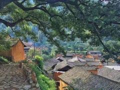 -杨家堂村