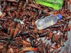 -韩盛炭火烤肉(万达广场店)