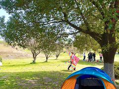 -太湖湖滨国家湿地公园-停车场