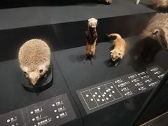 -呼和浩特博物馆