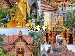 -西双版纳傣族园