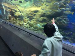 -大连圣亚海洋世界