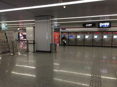 -上海游泳馆(地铁站)