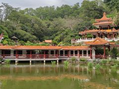 -深圳仙湖植物园