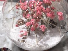 -哈根达斯(朝阳大悦城店)