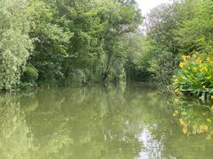 -摇橹船上船码头