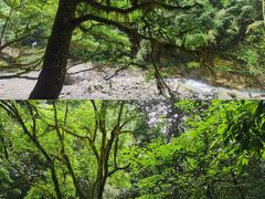 -西岭雪山大飞水景区
