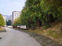 -武汉交通职业学院