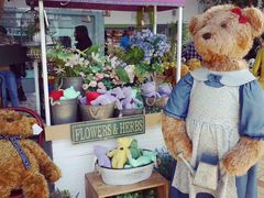 泰迪熊博物馆-济州岛泰迪熊博物馆