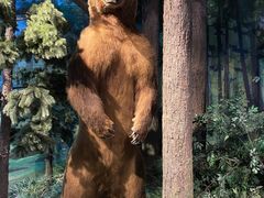 -陕西自然博物馆