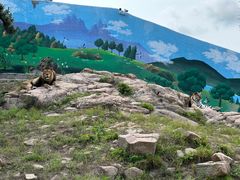 -西霞口神雕山野生动物世界