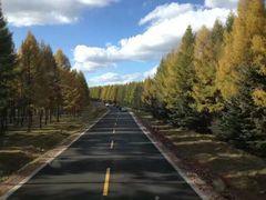 -塞罕坝国家级自然保护区