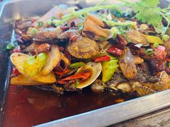 -沈姐万州烤鱼(沙坪坝七中店)