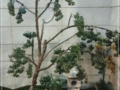 -恒坤北纬42度温泉洗浴(公园路店)