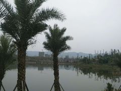 -枫香湖儿童公园