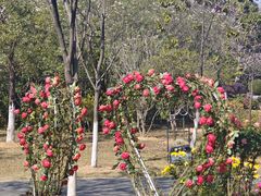 -东莞植物园