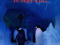 -海合安成都极地海洋公园