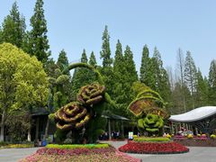 -东平国家森林公园