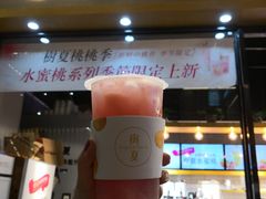 -树夏(鹭洲里店)