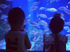 -成都浩海立方海洋公园