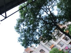 -龙宫海鲜楼(长乐漳港店)