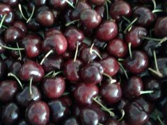 -上海龙吴水胜海发市场