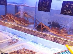 -章吴记喜瑞餐厅(东东城店)