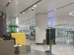 -麦当劳(北京大兴机场二层国内到达(安检外)店)