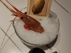 牡丹虾-多佐铁板烧(富力广场店)