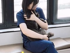 -凯瑞希宠物医院·狂犬免疫·微创·皮肤科