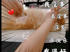 -宠爱国际动物医院·疑难骨科·心肾内科·皮肤科(太阳宫店)