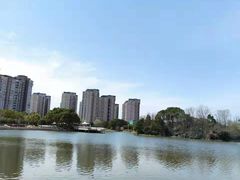 -新江湾城公园