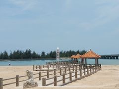 -东郊椰林