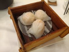 金鼎鲜味虾饺皇-广州酒家(昌岗地铁站店)