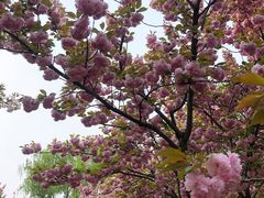-莲花池公园