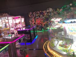 -嗨翻Hi-Fun竞技主题乐园·蹦床团建生日聚会(五棵松华熙店)