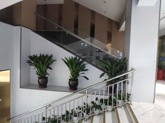 -美可普口腔医院(东街分店)