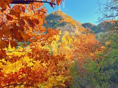 -云蒙山风景区