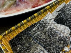 -土著渔匠·养生蝴蝶鱼(香樟路店)