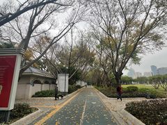 -白鹭洲公园