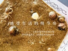 -老王头饺子(孟家店)