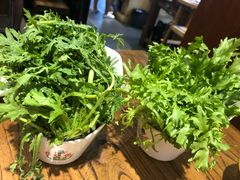 -珍巴奴毛肚牛肉小火锅(四惠店)