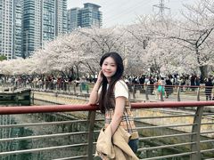 -西北湖绿化广场