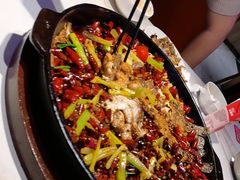 -老板恋上鱼(高新万达店)